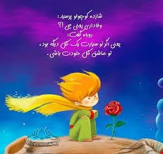 شازده کوچولو در سرزمین شمالی 